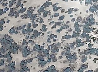 Cemetery Rd #15, Christmas Valley, OR 97641