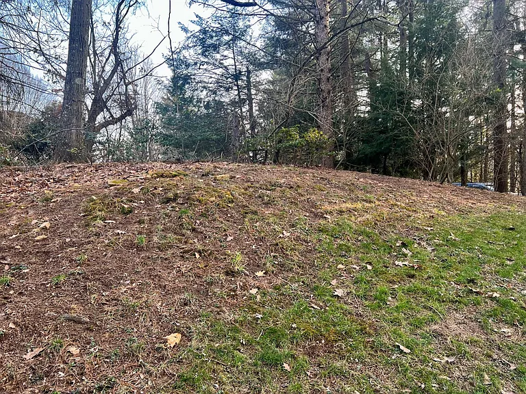 Club Crest Rd — Photo 10