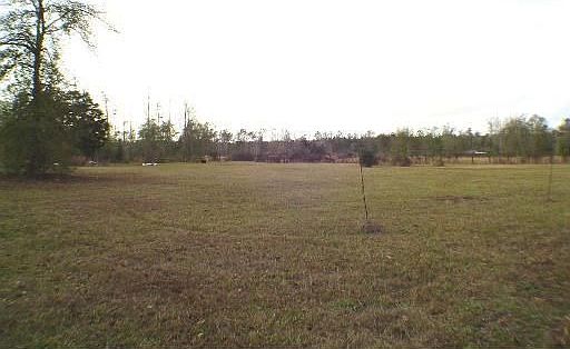 5th image of Dixie Ranch Fire Tower Rd