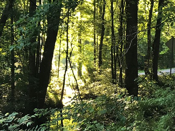 Creek on lower lot