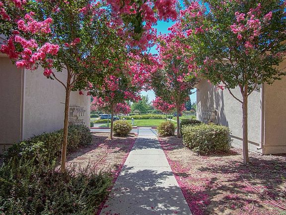 2nd image of 501 Gibson Dr APT 1414