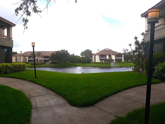 5th image of 10263 Gandy Blvd N APT 206