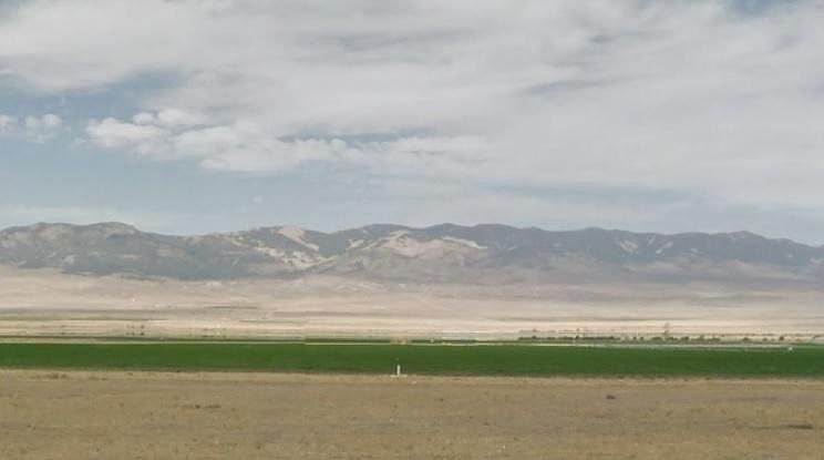 1st image of Avenue A