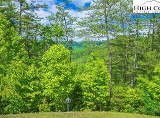 LOT 1 Reynolds Pkwy, Ferguson, NC 28624