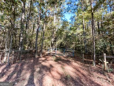 0 Wehunt Rd, Monticello, GA, 31064