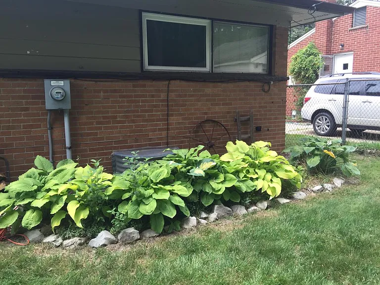 1517 Catalina Dr — Photo 6