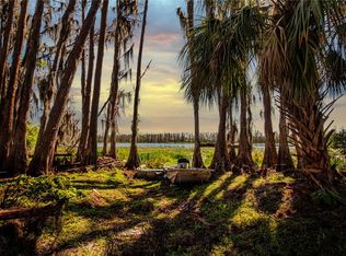 1 Alderman Turner Rd, Wimauma, FL 33598