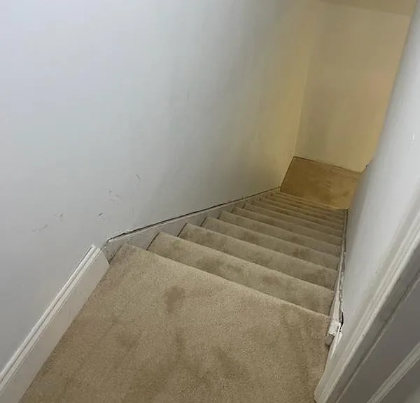 915 Cricket Ln — Photo 10