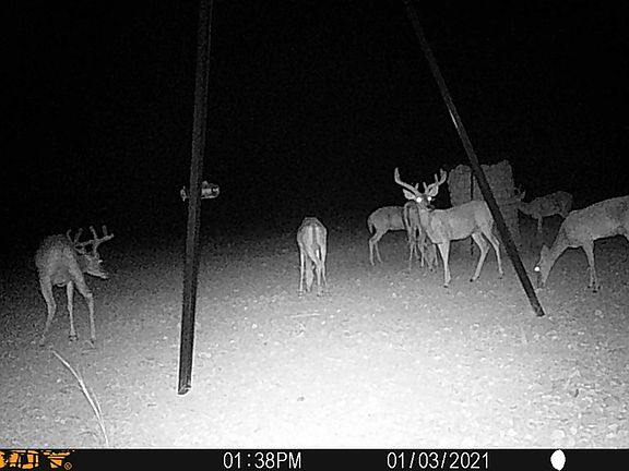 2nd image of Highway 349