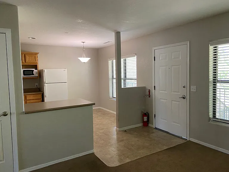 339 N Rush St — Photo 5