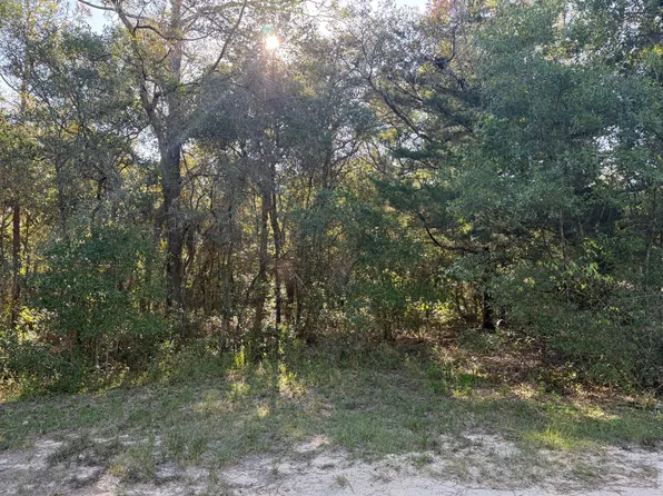 Gustafson Rd, Keystone Heights, FL 32656