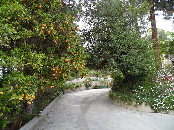 3rd image of 5830 Winnetka Ave