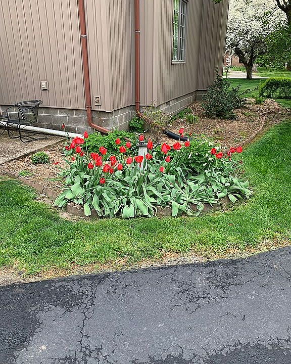 2nd image of 1114 E Chestnut St
