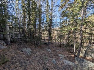 386 Brook Dr, Lake George, CO 80827