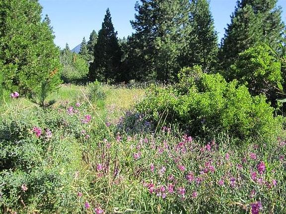 3rd image of Siskiyou Lake Blvd Lot 23