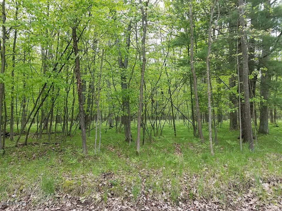 2nd image of 8083 W 11 1/2 Mile Rd