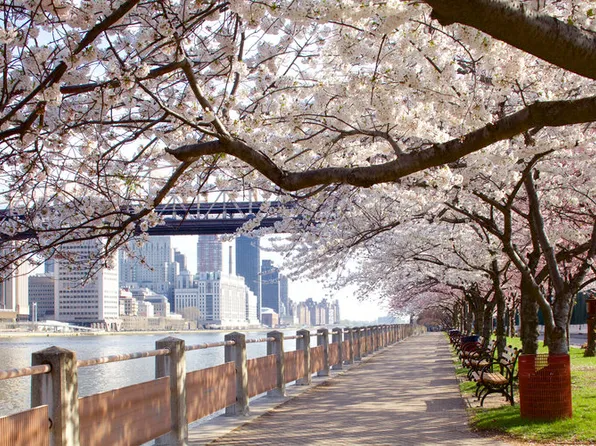 40 River Road image 16 of 16