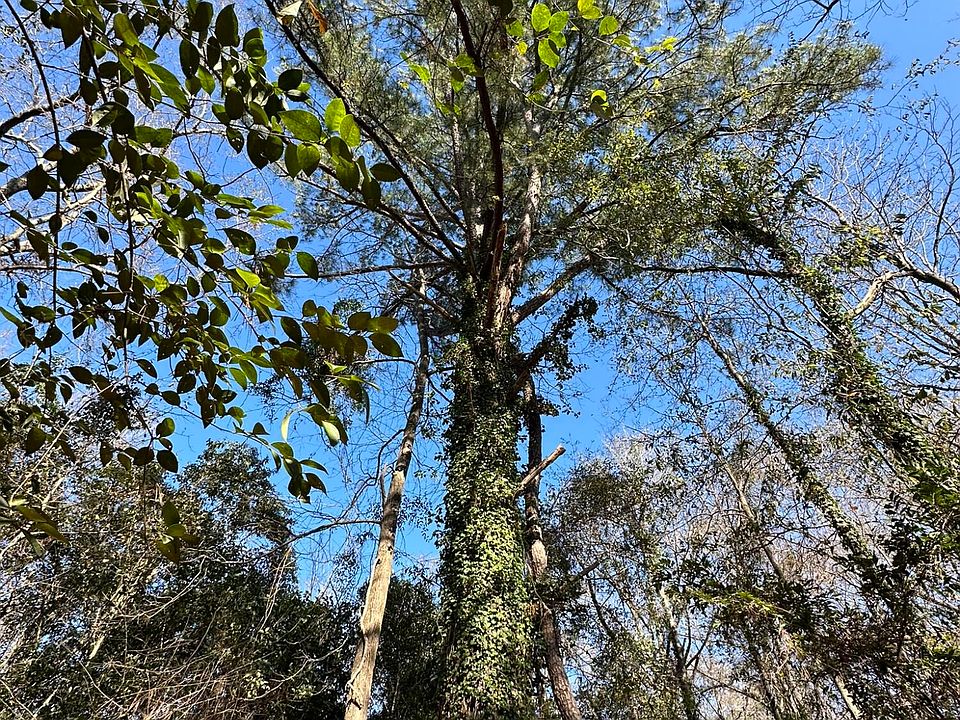 116 Evans St, Wadley, GA 30477 Zillow