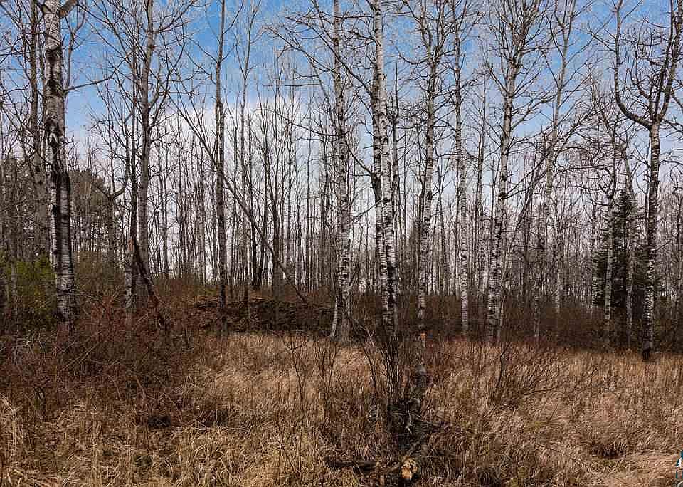 2nd image of XXX Hermantown Rd