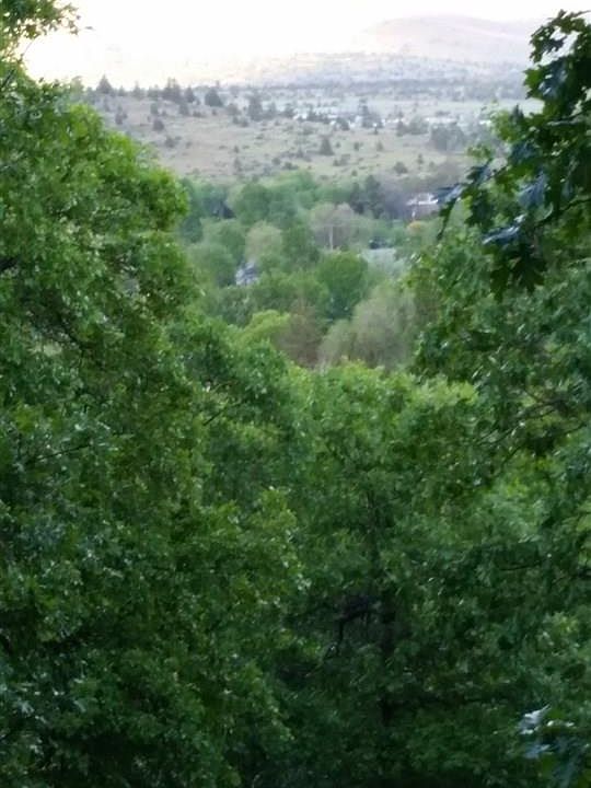 1st image of 245 View Dr
