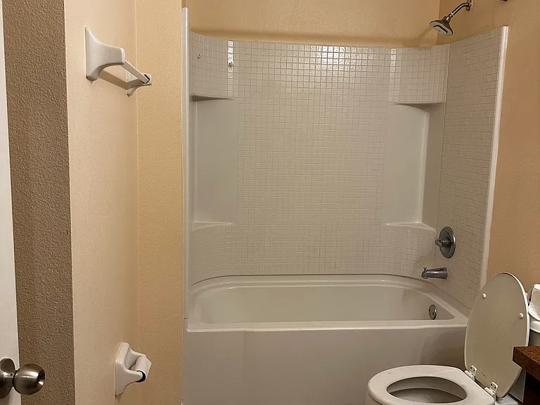 3909 Flowering Orchid Ln — Photo 11
