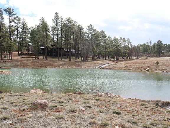 5th image of S Torreon Lakes Dr