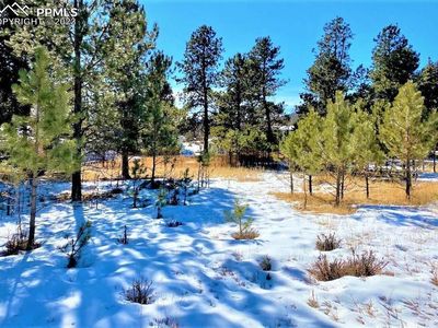 560 N Baldwin St, Woodland Park, CO, 80863