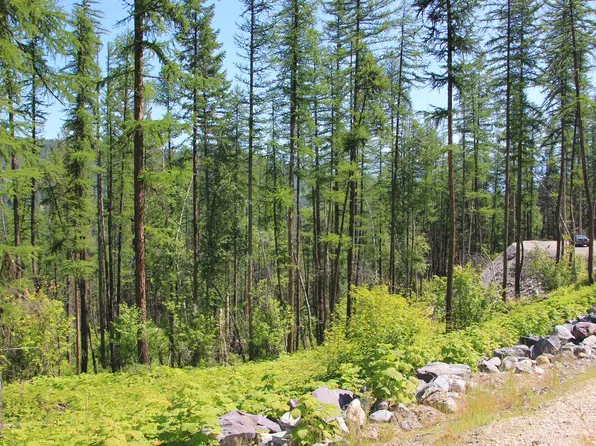 237 Timberjack Trl, Bigfork, MT 59911