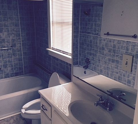 5th image of 135 Oswald St