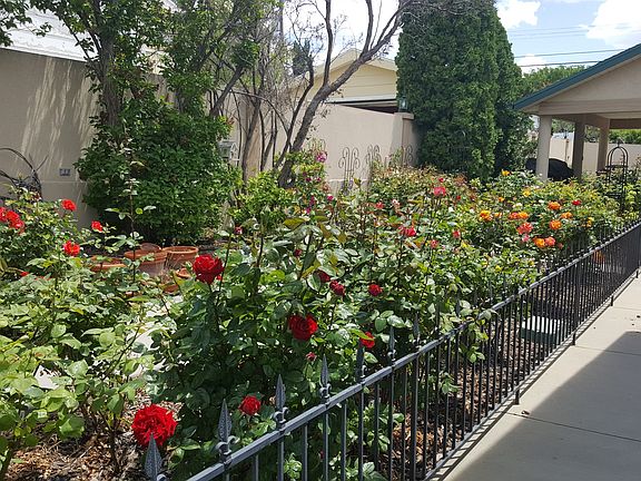 Stop and smell the Roses