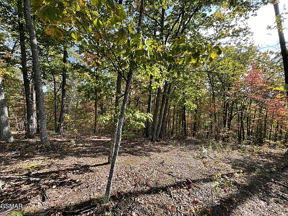 3rd image of 234 Sulpher Springs Way