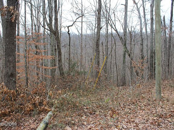 2nd image of Carol Dr