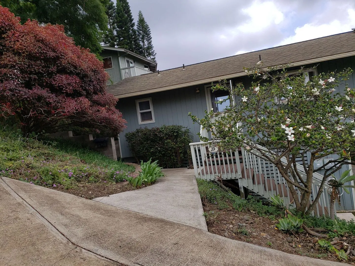 1 bd. 1ba. Unfurnished Kula Cottage - Lower Kula Rd. Available Now for 1 yr. Lease — Photo 4