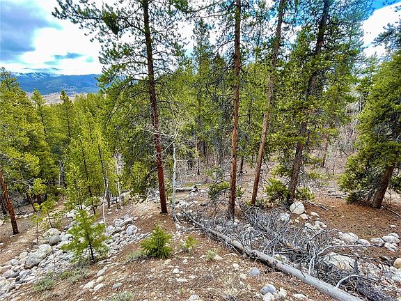 2nd image of 66 Parry Peak Dr