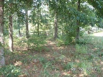 2nd image of 1143 Owens Rd