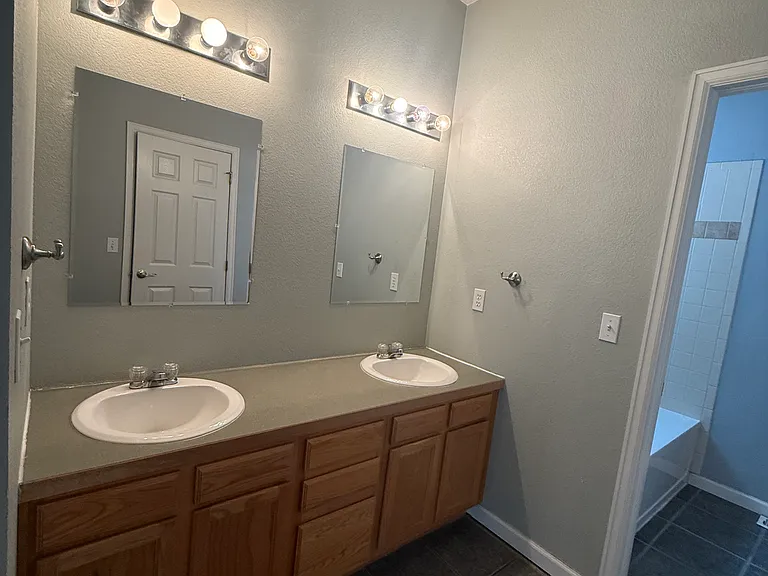 Master Bathroom Sinks