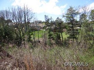 19 Climbing Aster Way #53, Asheville, NC 28806