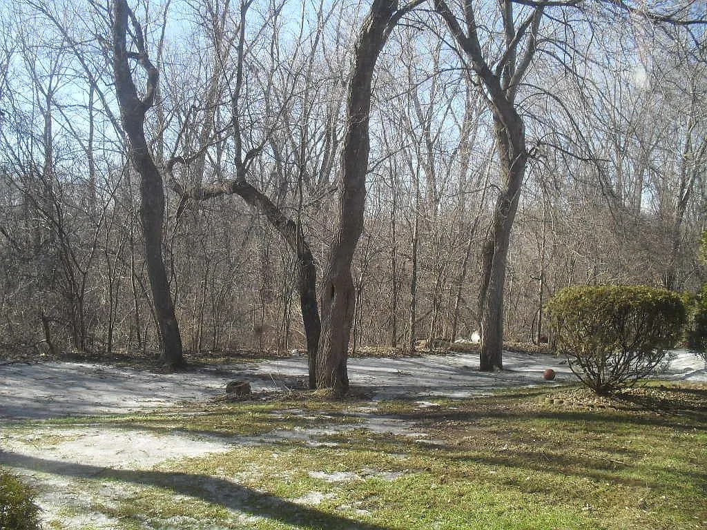 3 bed, 2126 sqft, $2,395 — Photo 3