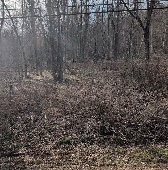 1st image of 210 Apple Creek Rd