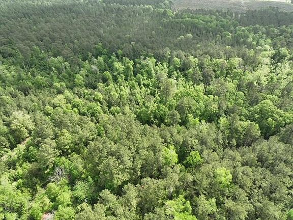3rd image of Bannister Rd