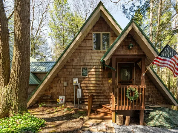238 Ripshin Lake Rd, Roan Mountain, TN 37687