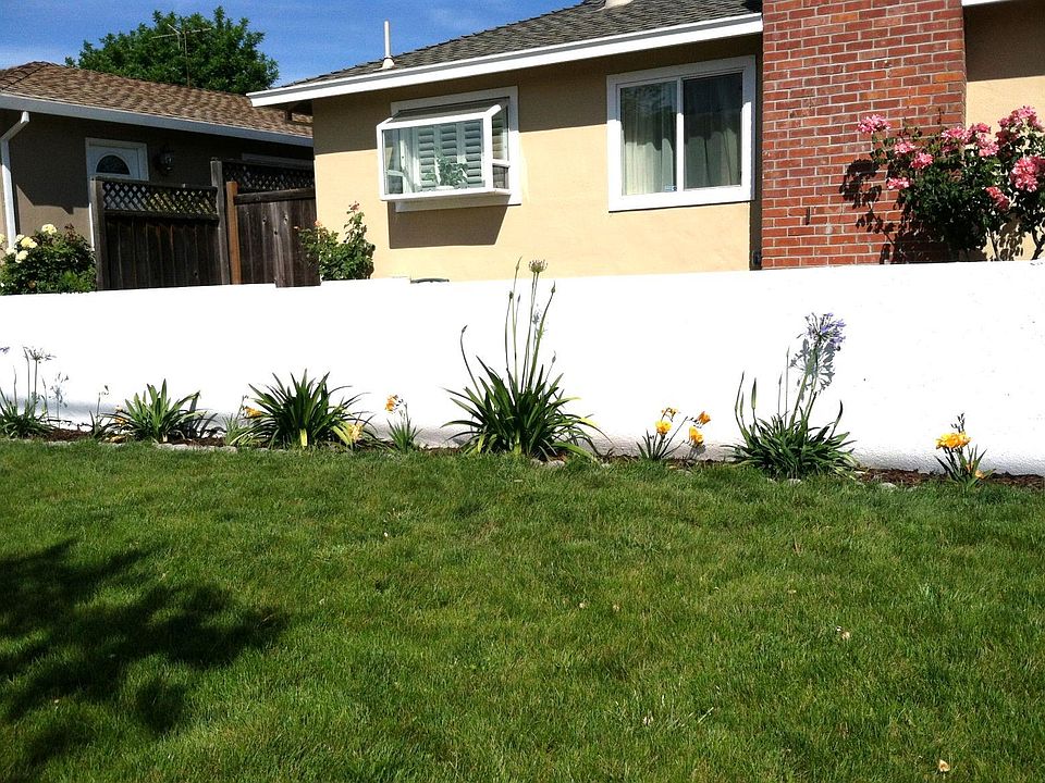 Front Yard