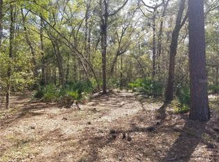 7610 W County Line Rd, Odessa, FL 33556