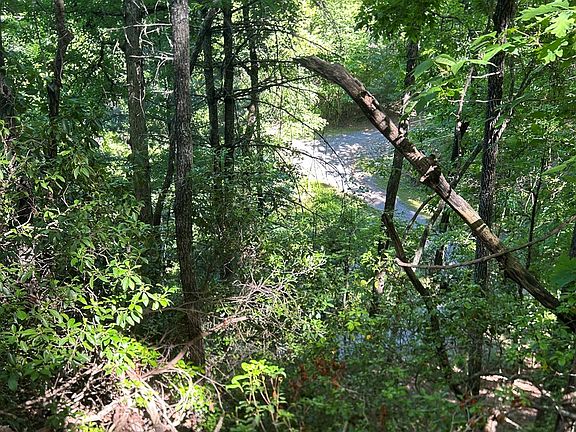 3rd image of LOT 38 River Ridge Rd