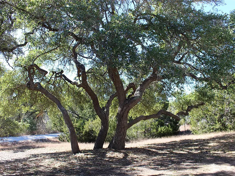 14111 S Green Hills Loop #B — Photo 12