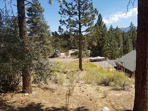 5th image of 1047 Van Dusen Canyon Rd