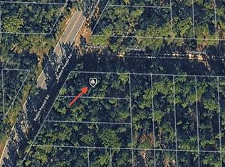 Baden Powell Rd LOT 28, Hawthorne, FL 32640