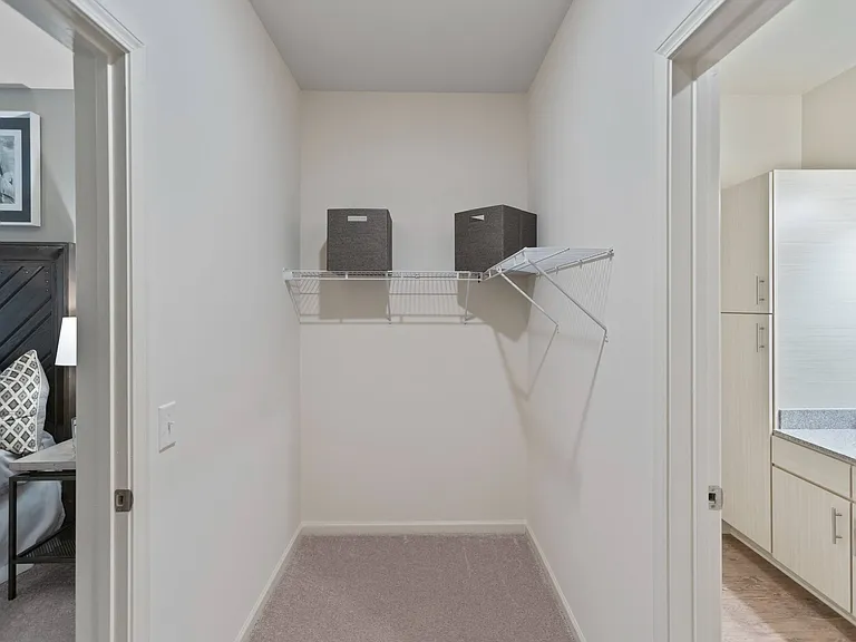Tapestry Northridge Model Unit Closet