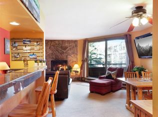 210 E La Bonte St #125, Dillon, CO 80435