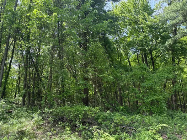 V/l New Bailey Dr NE, Ada, MI 49301